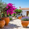 Jardín mediterráneo con flores y plantas en macetas de cerámica.